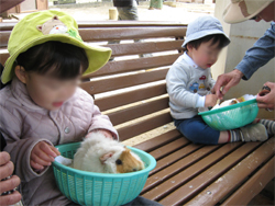 fureai_ms2.jpg