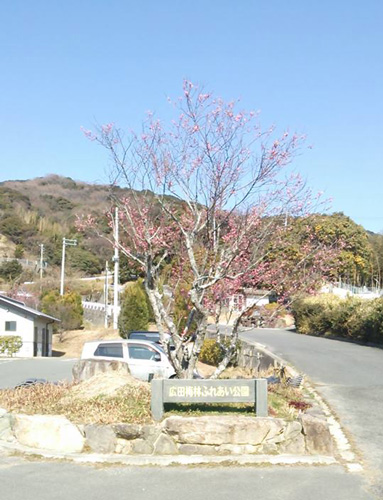 広田梅林 ふれあい公園　公園入口