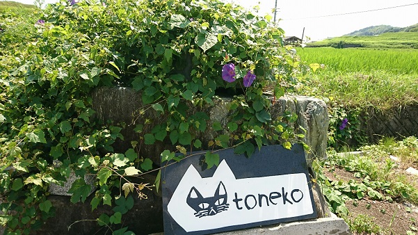 toneko看板