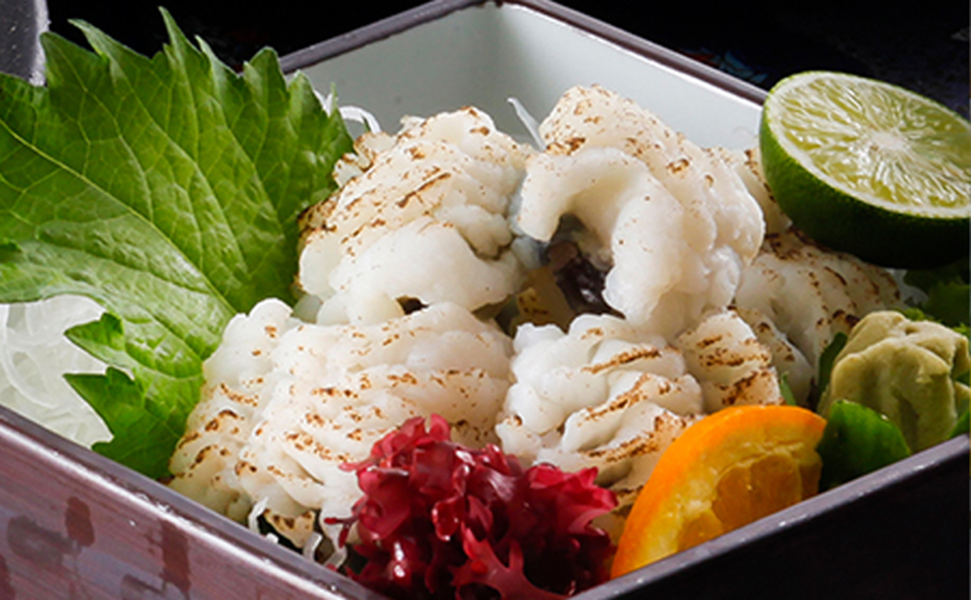 鱧の焼霜造り イメージ
