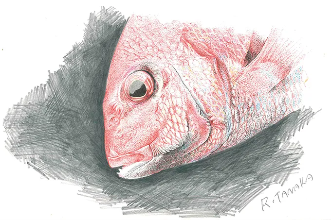 点描画