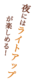 プール無料サービス