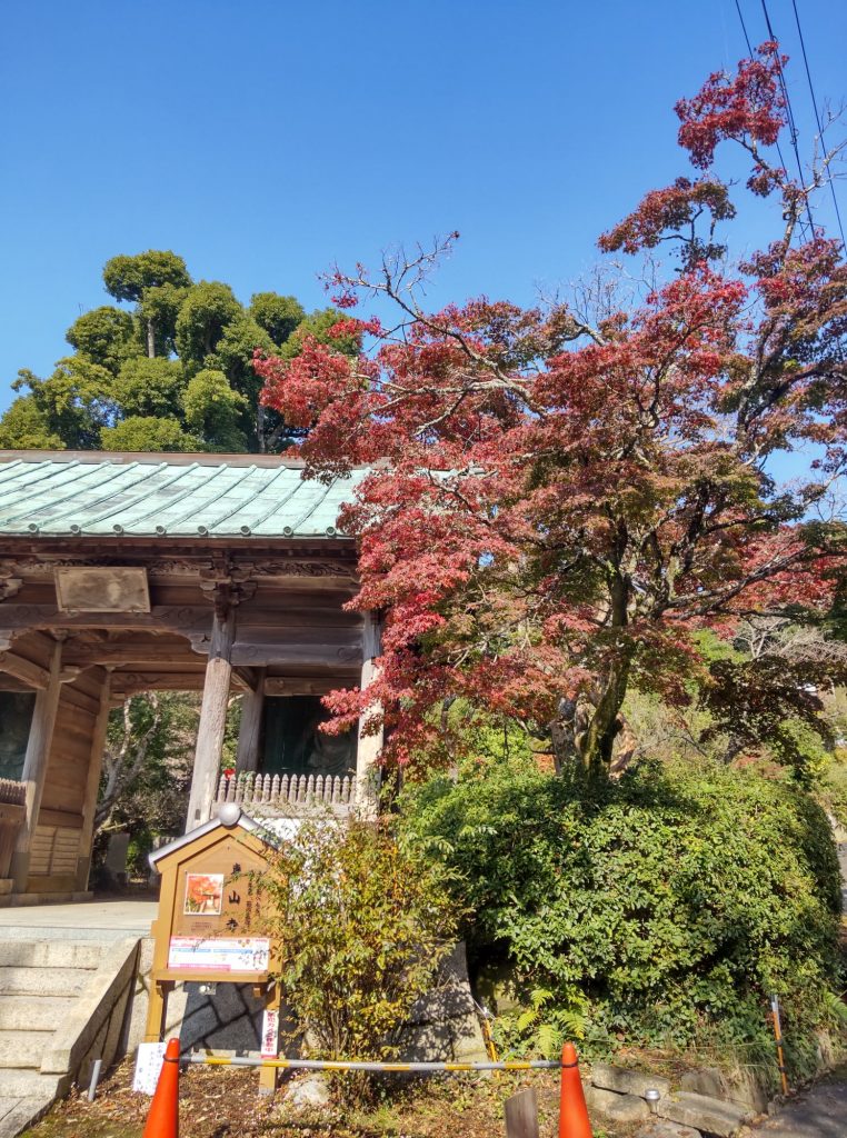 東山寺の紅葉