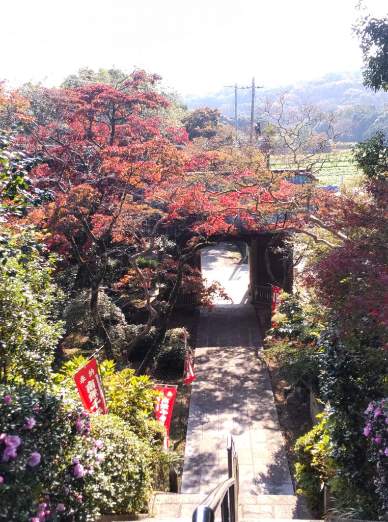 東山寺の紅葉