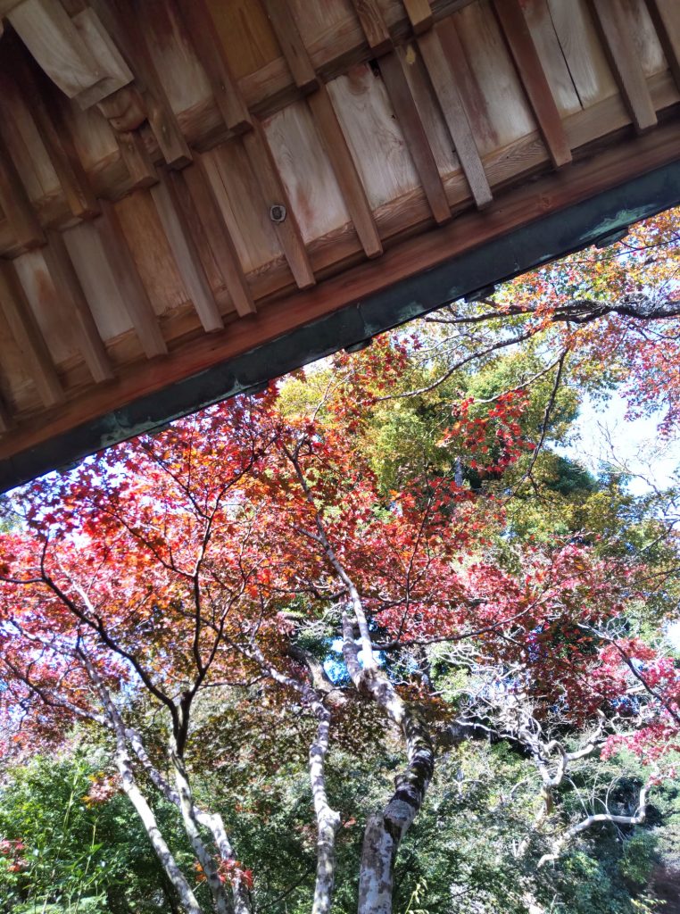 東山寺の紅葉