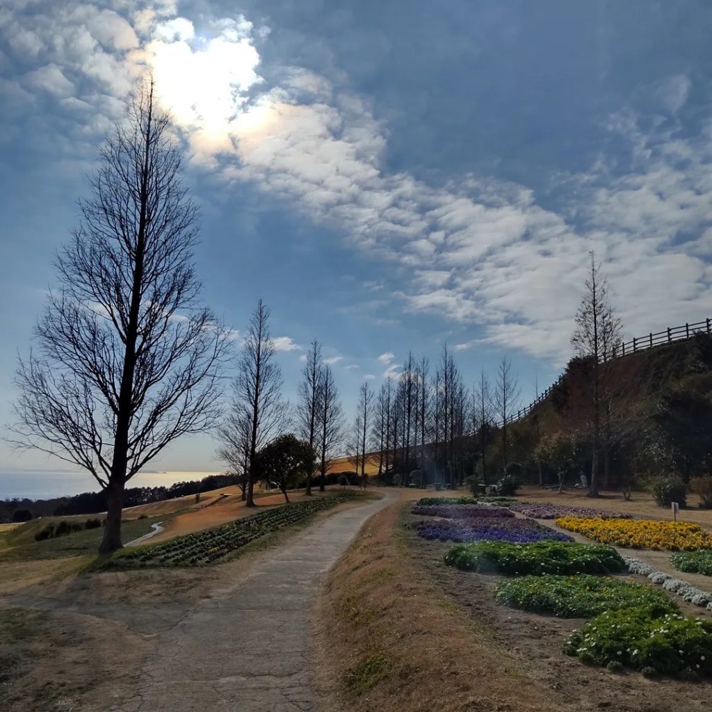 あわじ花さじき　四季それぞれに応じた花🌼が楽しめる観光スポット📷