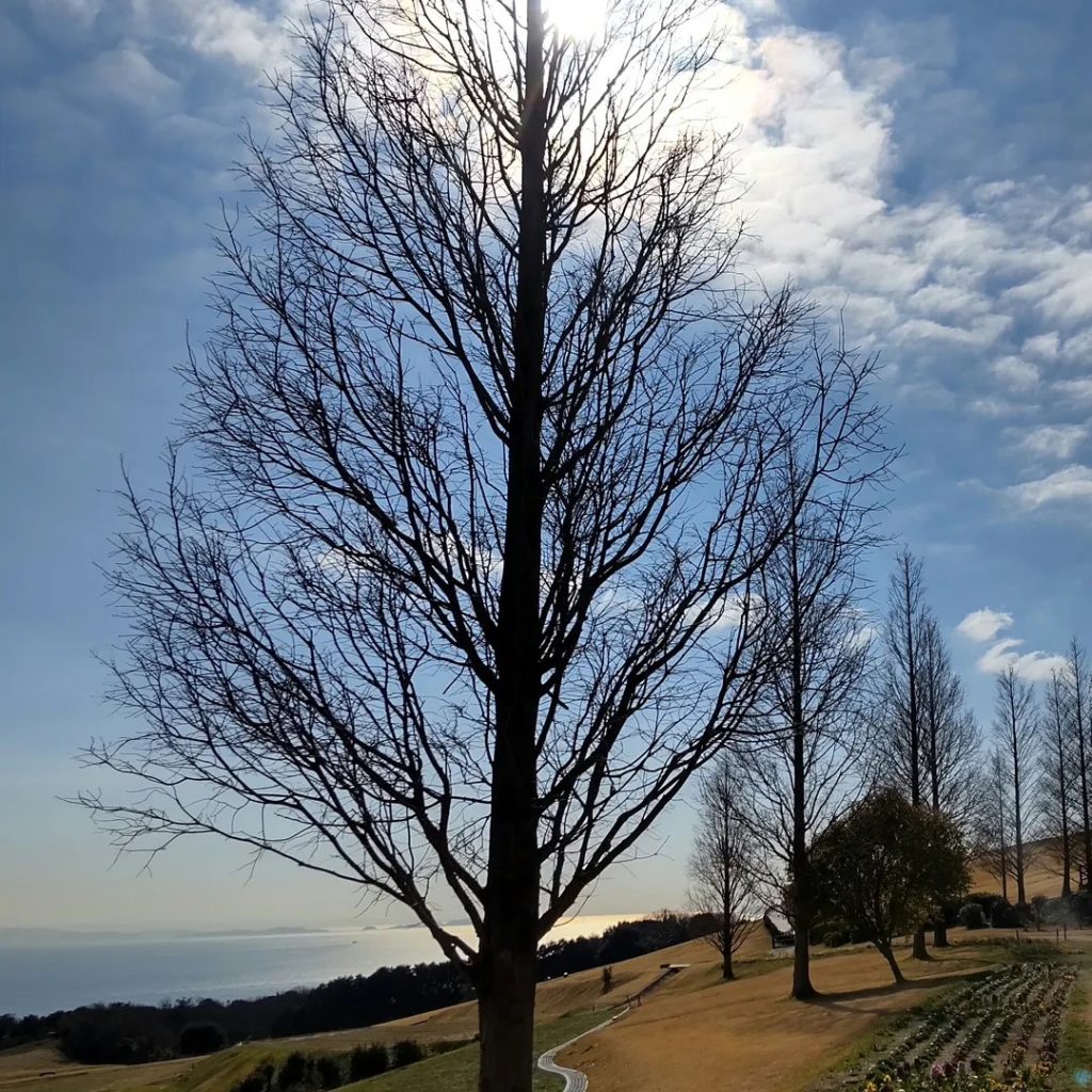 あわじ花さじき　広大な土地と澄んだ空気を味わう