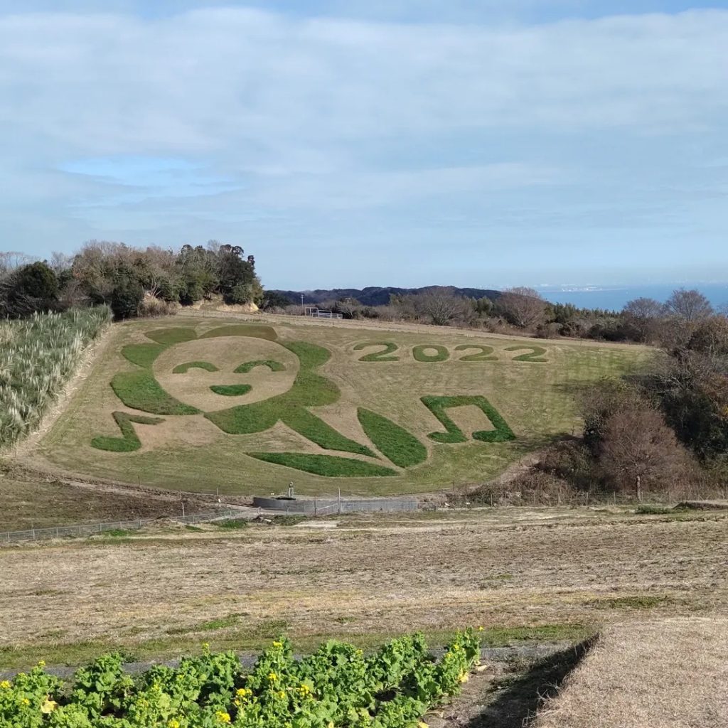 笑顔の花💐をモチーフにした絵柄